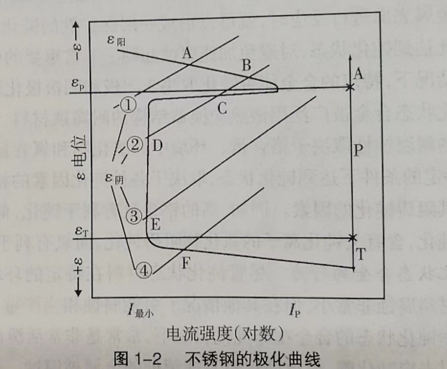 不锈钢焊接钢管的极化曲线